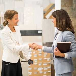 Two businesswomen shaking hands in office